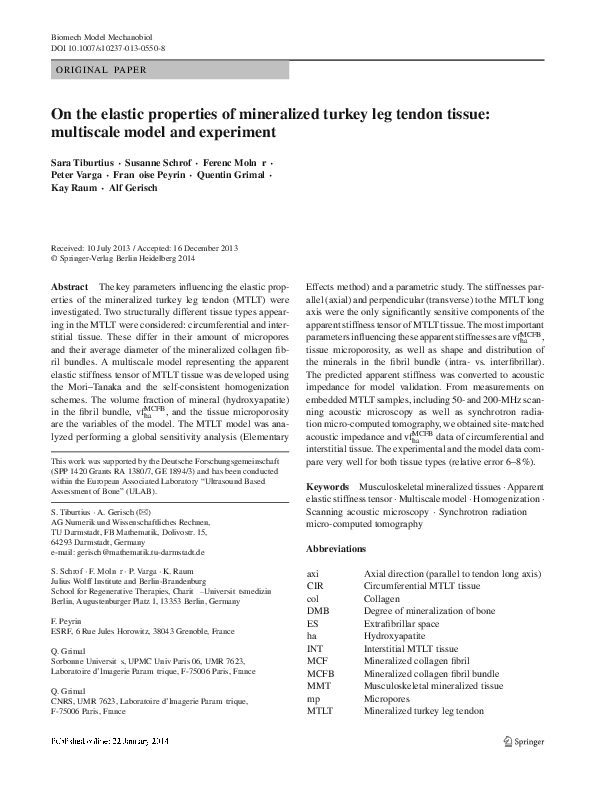 (PDF) On the elastic properties of mineralized turkey leg tendon tissue