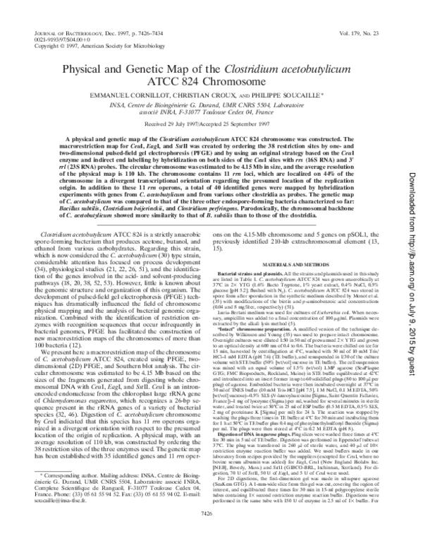 (PDF) Physical and genetic map of the Clostridium acetobutylicum ATCC ...
