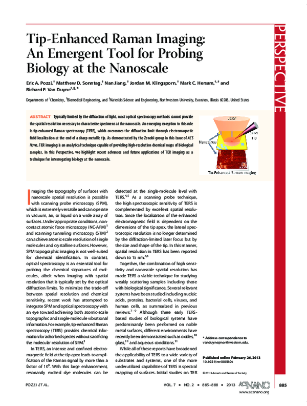 (PDF) Tip-Enhanced Raman Imaging: An Emergent Tool for Probing Biology ...