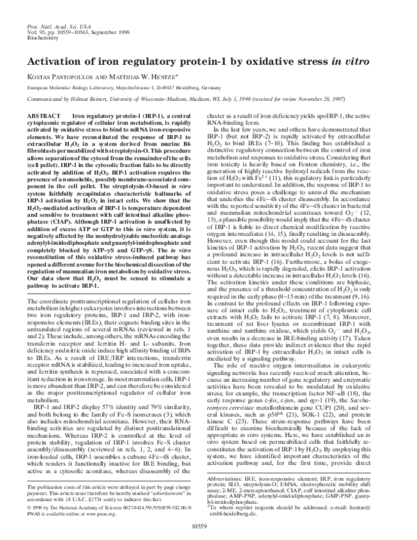 (PDF) Activation of iron regulatory protein-1 by oxidative stress in vitro