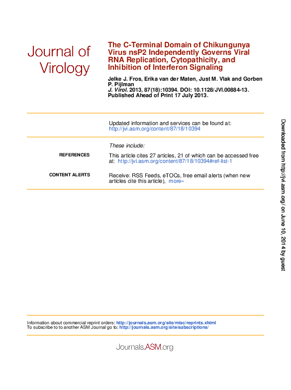Chikungunya and coronavirus image