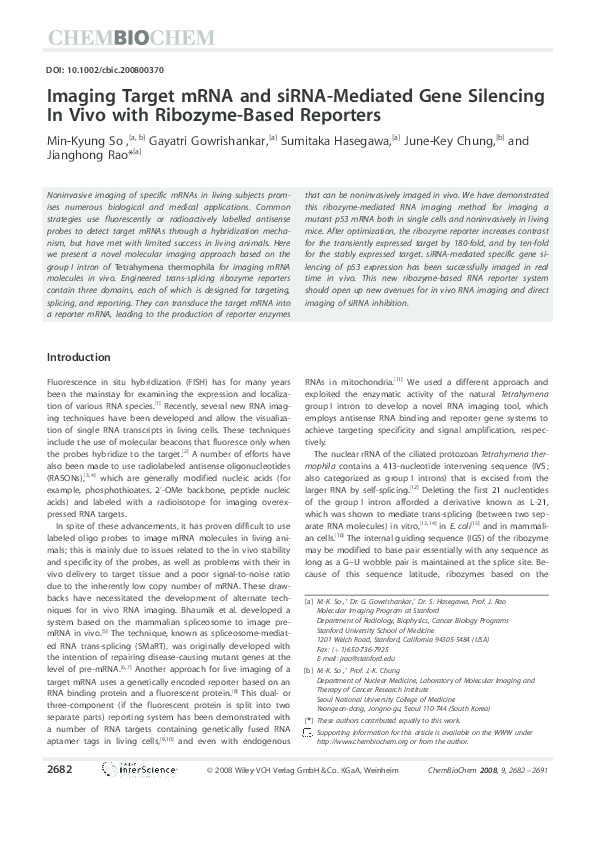 (PDF) Imaging Target mRNA and siRNA-Mediated Gene Silencing In Vivo ...