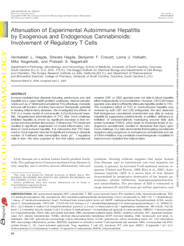 Autoimmune hepatitis investigation picture