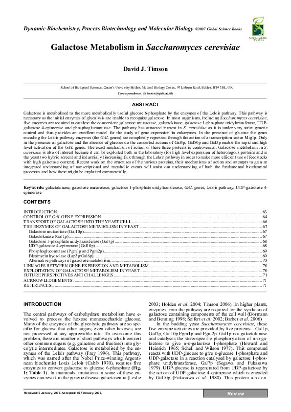 Galactosemia essay 08 image