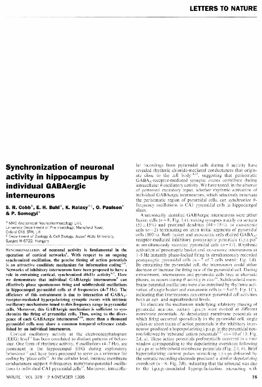 (PDF) Synchronization of neuronal activity in hippocampus by individual ...