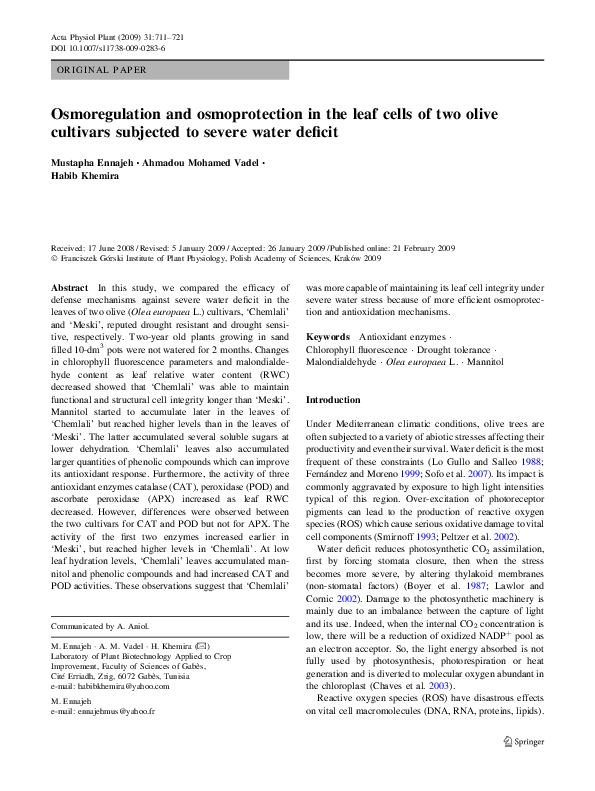 Water deficiency essay picture