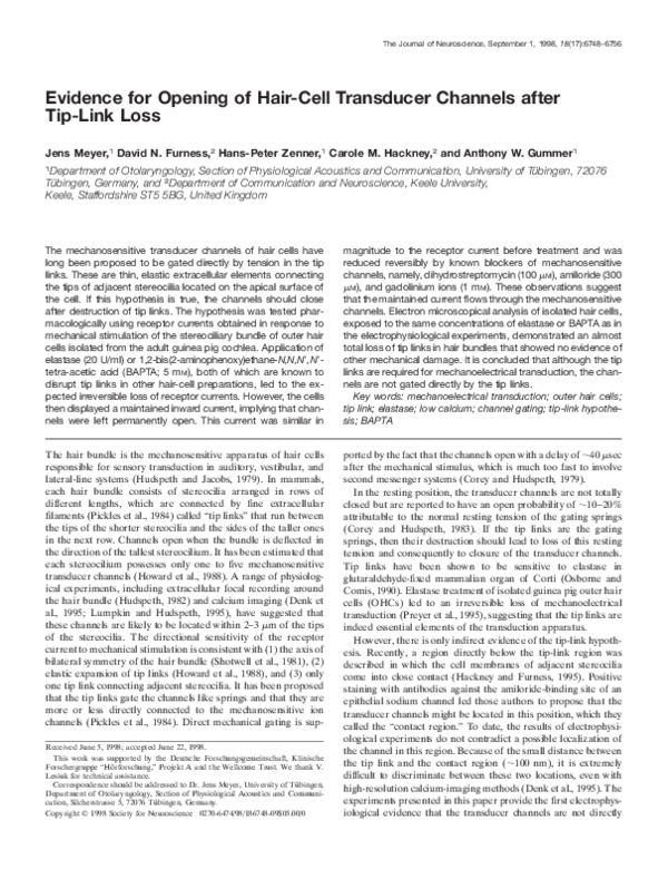(PDF) Evidence for opening of hair-cell transducer channels after tip ...