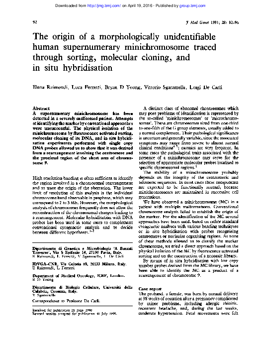 Essay on minichromosome 07 image