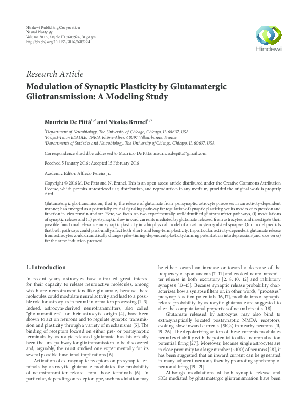 (PDF) Modulation of Synaptic Plasticity by Glutamatergic ...