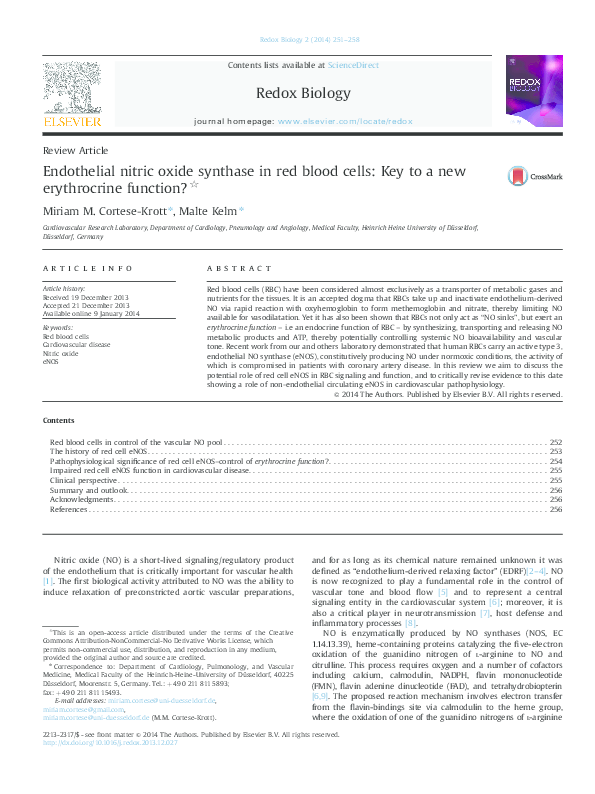 (PDF) Endothelial nitric oxide synthase in red blood cells key to a