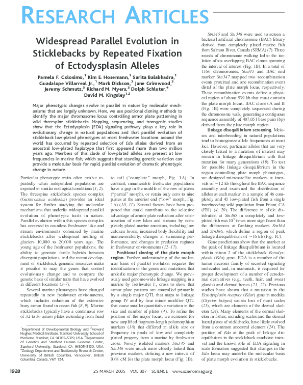 (PDF) Widespread Parallel Evolution in Sticklebacks by Repeated ...