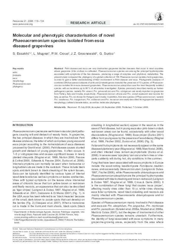 (PDF) Molecular and phenotypic characterisation of novel ...