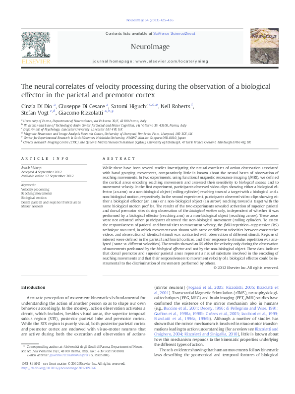 (PDF) The neural correlates of velocity processing during the ...
