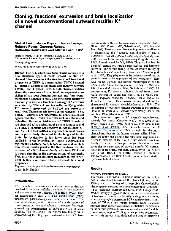 (PDF) Cloning, functional expression and brain localization of a novel ...
