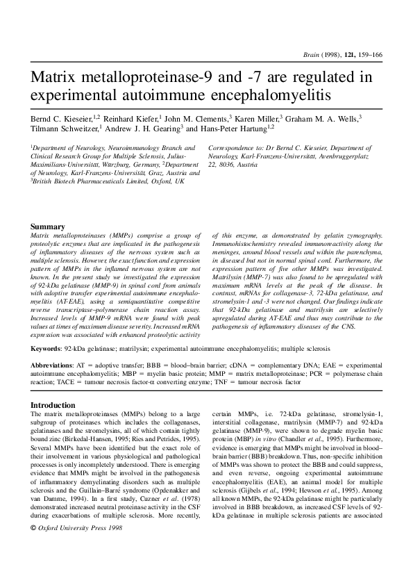 Mmp2 angiogenesis picture