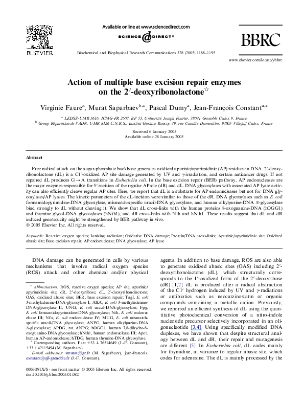 (PDF) Action of multiple base excision repair enzymes on the 2 ...