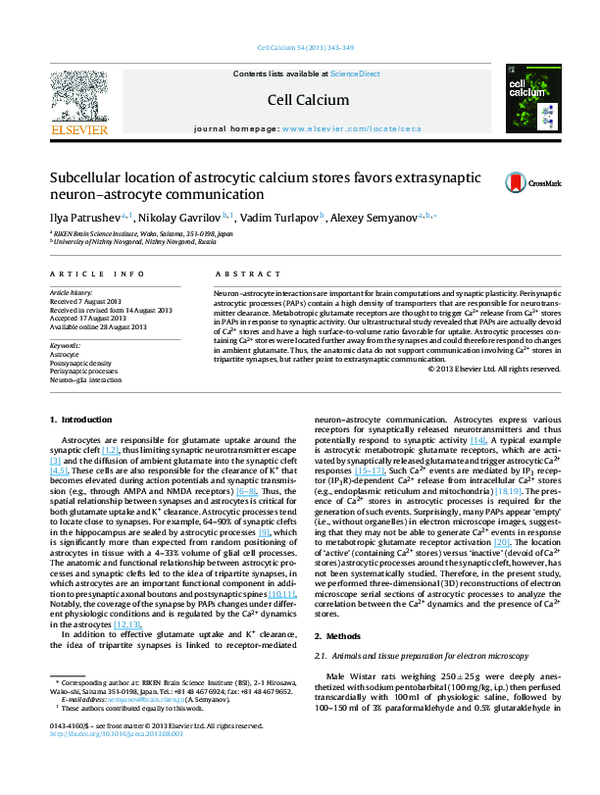 (PDF) Subcellular location of astrocytic calcium stores favors ...