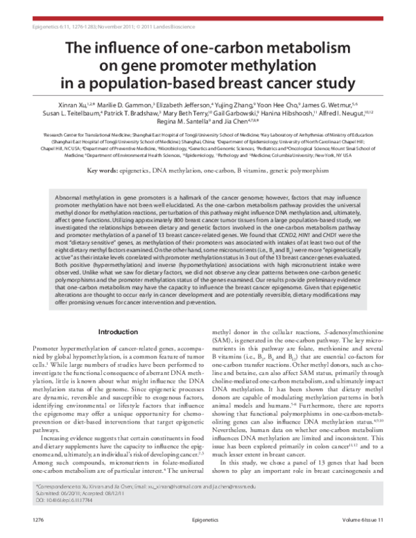 (PDF) The influence of one-carbon metabolism on gene promoter ...