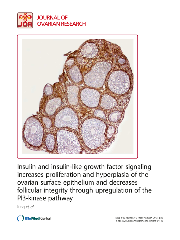 (PDF) Insulin and insulin-like growth factor signaling increases ...