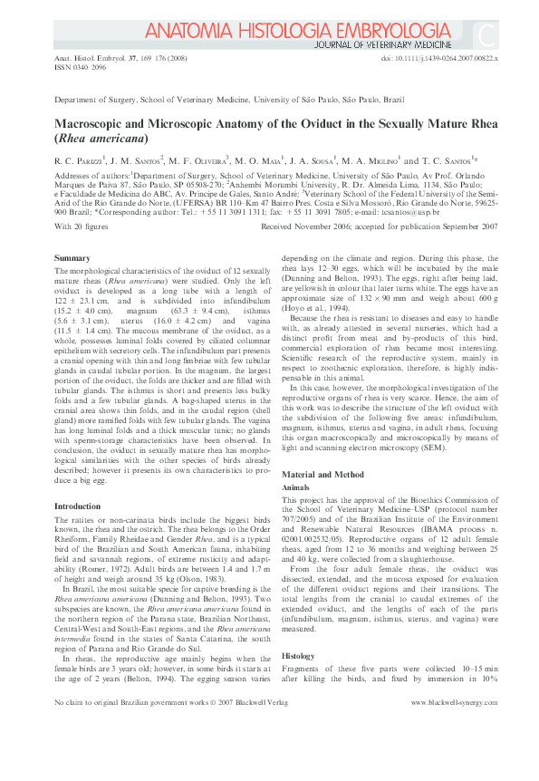 (PDF) Macroscopic and Microscopic Anatomy of the Oviduct in the ...