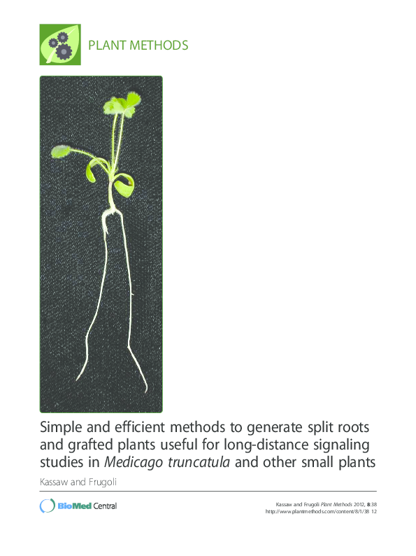 (PDF) Simple and efficient methods to generate split roots and grafted ...