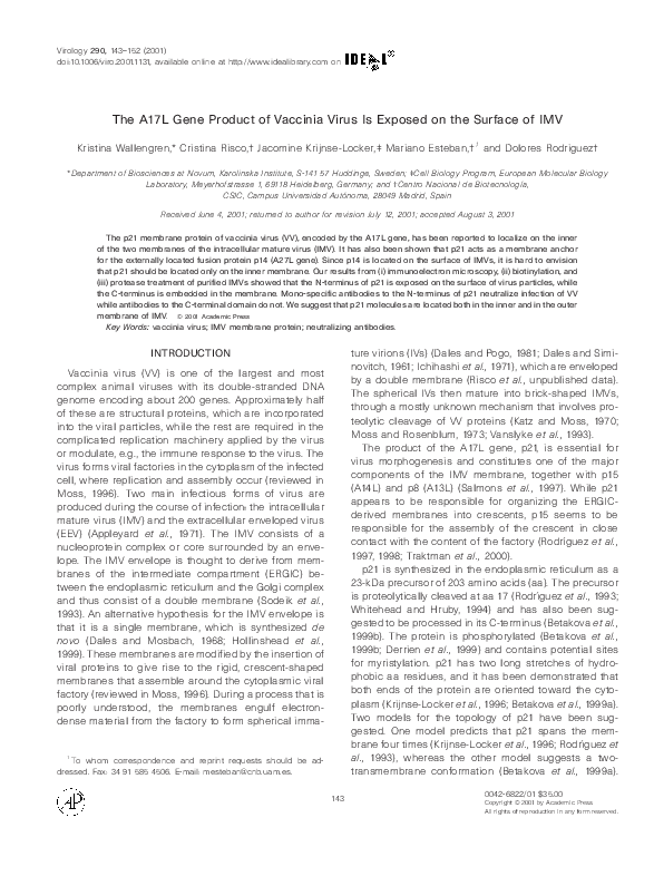 (PDF) The A17L Gene Product of Vaccinia Virus Is Exposed on the Surface ...