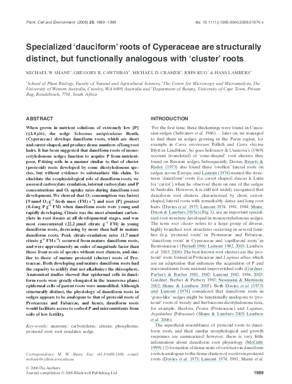 (PDF) Specialized 'dauciform' roots of Cyperaceae are structurally ...