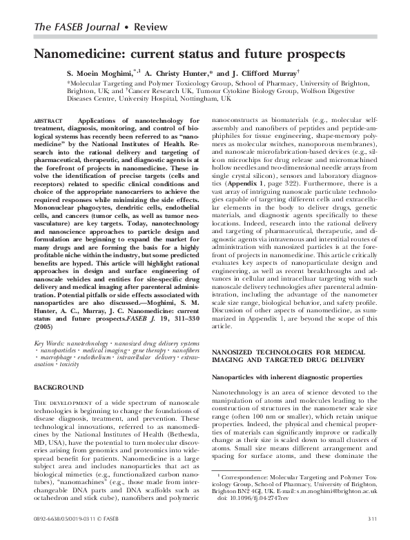 Nanomedicine essay 05 picture