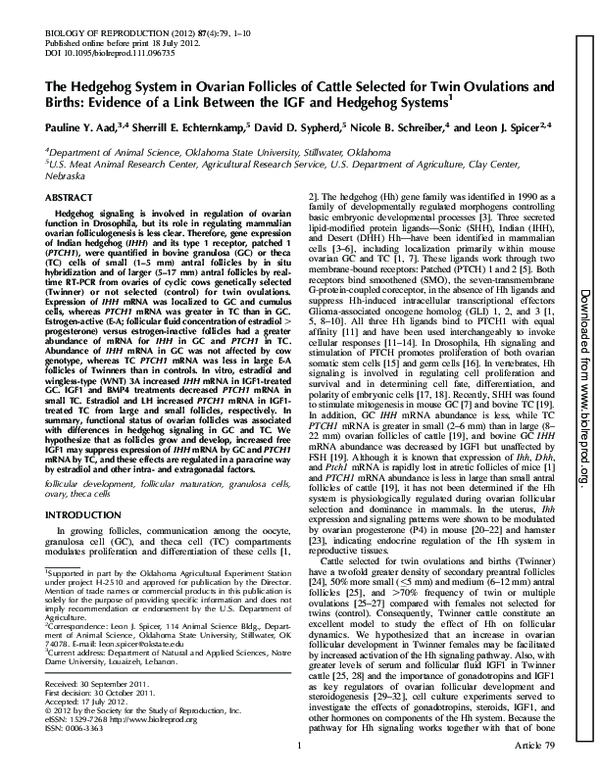 (PDF) The Hedgehog System in Ovarian Follicles of Cattle Selected for ...
