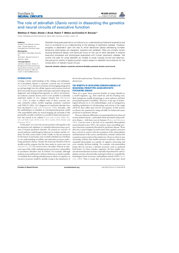 (PDF) The role of zebrafish (Danio rerio) in dissecting the genetics ...
