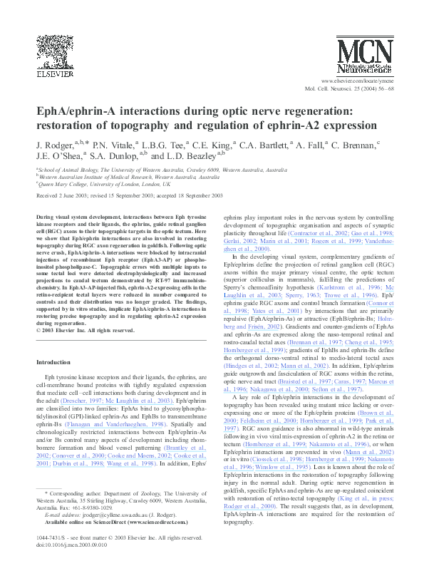 (PDF) EphA/ephrin-A interactions during optic nerve regeneration ...