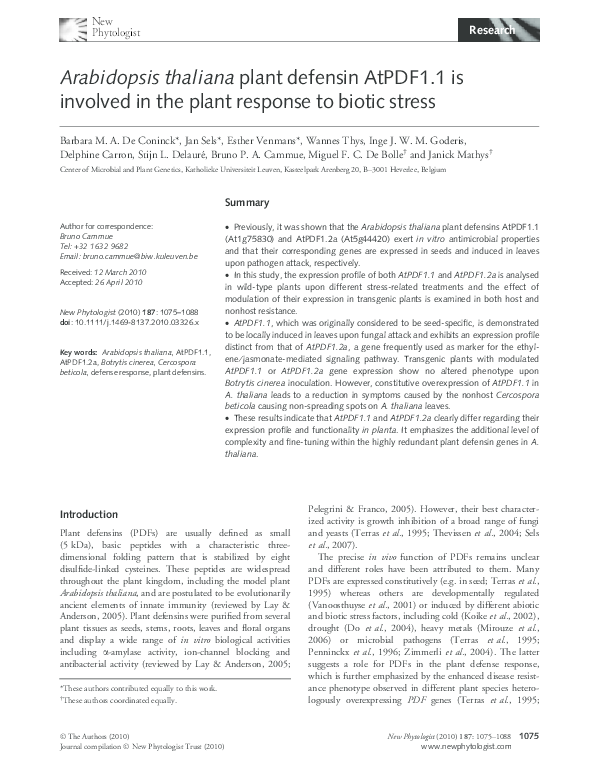 Arabidopsis thaliana image