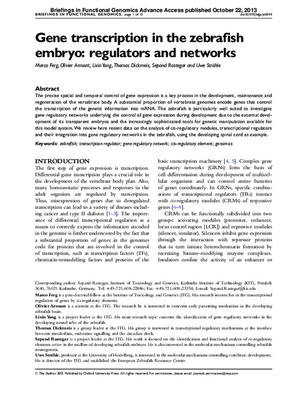 (PDF) Gene transcription in the zebrafish embryo: regulators and networks