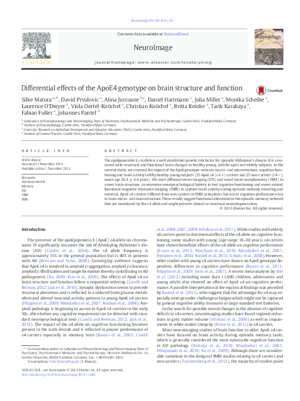 (PDF) Differential effects of the ApoE4 genotype on brain structure and ...