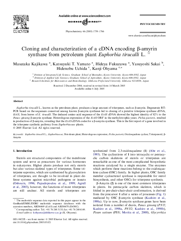 (PDF) Cloning and characterization of a cDNA encoding β-amyrin synthase ...