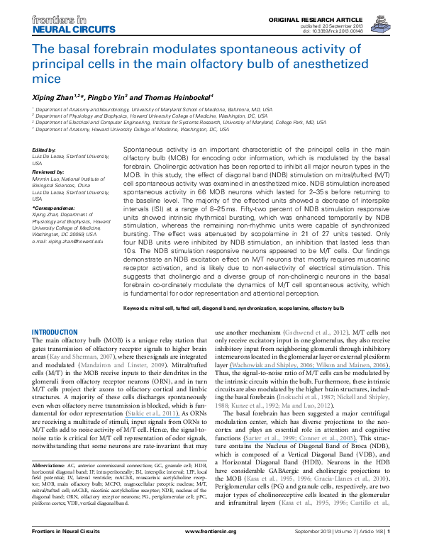(PDF) The basal forebrain modulates spontaneous activity of principal ...