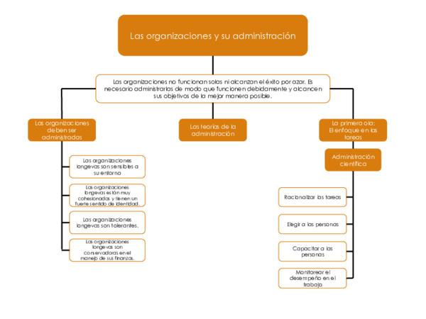 (PDF) Las organizaciones y su administración