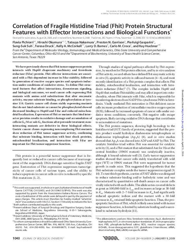(PDF) Correlation of Fragile Histidine Triad (Fhit) Protein Structural ...