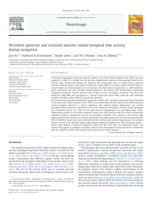 (PDF) Persistent posterior and transient anterior medial temporal lobe ...
