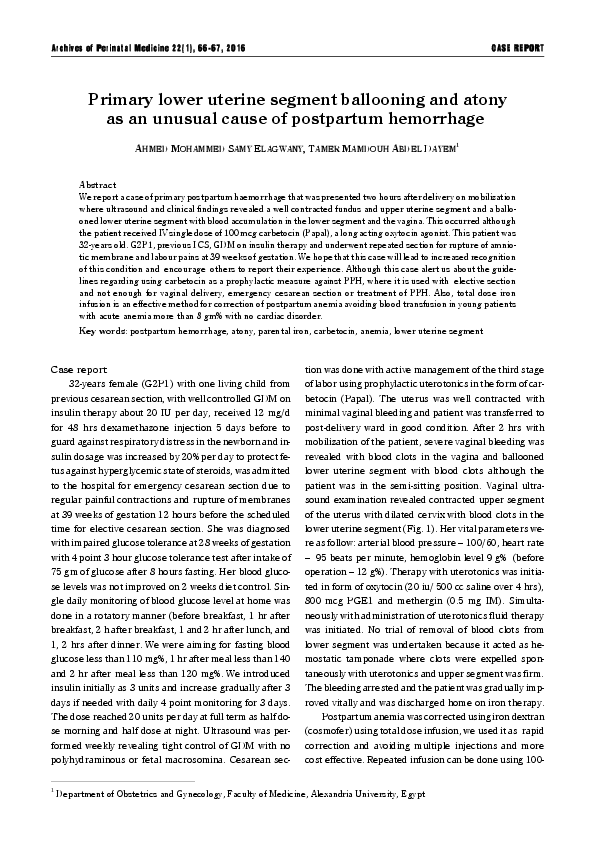 Postpartum hemorrhage essay picture
