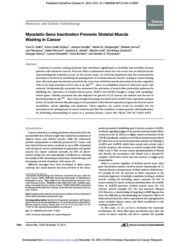 (PDF) Myostatin Gene Inactivation Prevents Skeletal Muscle Wasting in ...