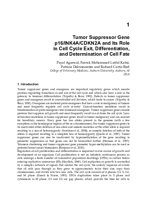 (PDF) Tumor Suppressor Gene p16/INK4A/CDKN2A and Its Role in Cell Cycle ...