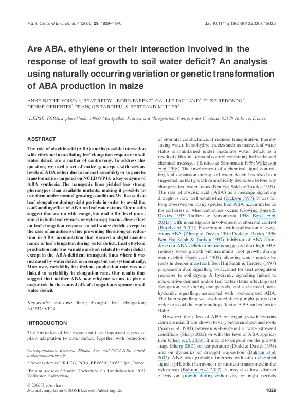 Ethylene receptor in plants image