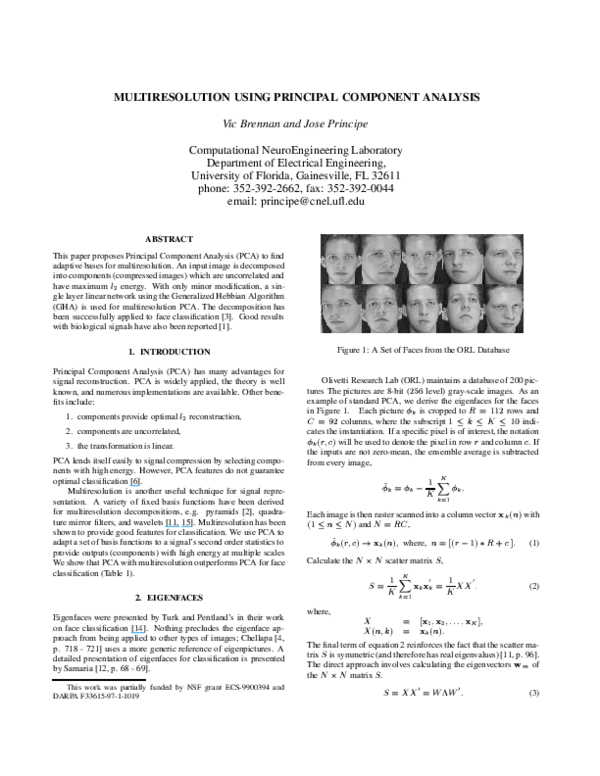 (PDF) Multiresolution using principal component analysis