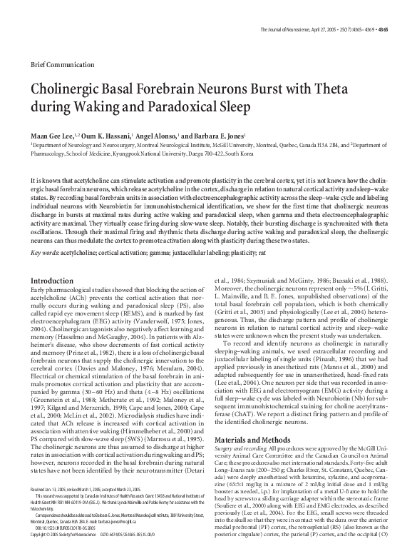 (PDF) Cholinergic basal forebrain neurons burst with theta during ...