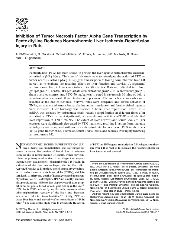 (PDF) Inhibition of tumor necrosis factor alpha gene transcription by ...