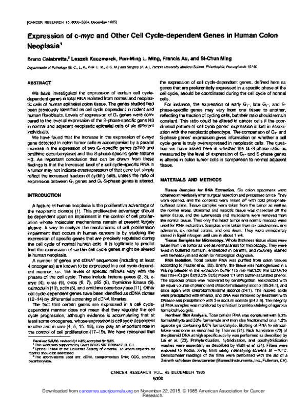 (PDF) Expression of c-myc and other cell cycle-dependent genes in human ...