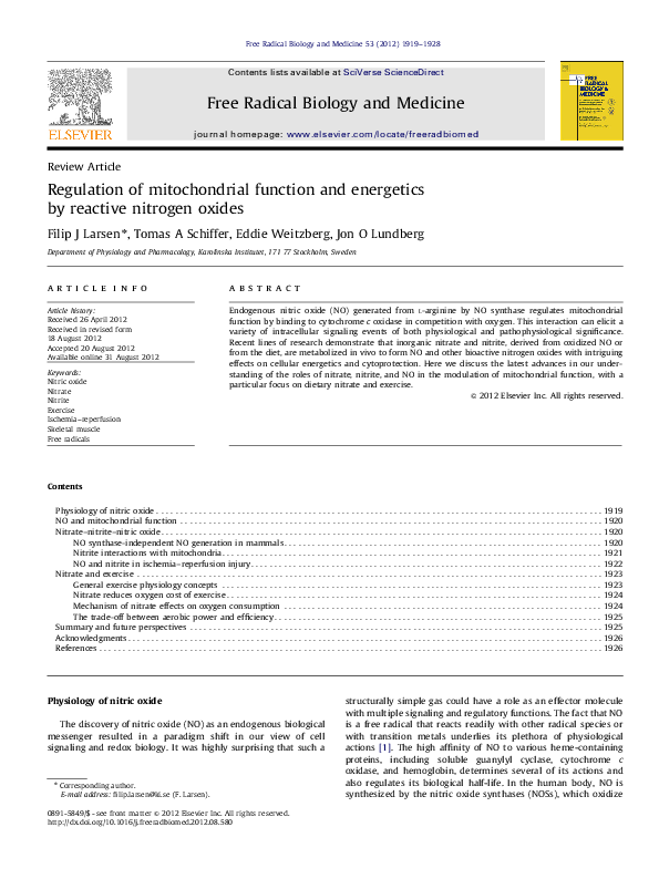 (PDF) Regulation of mitochondrial function and energetics by reactive ...