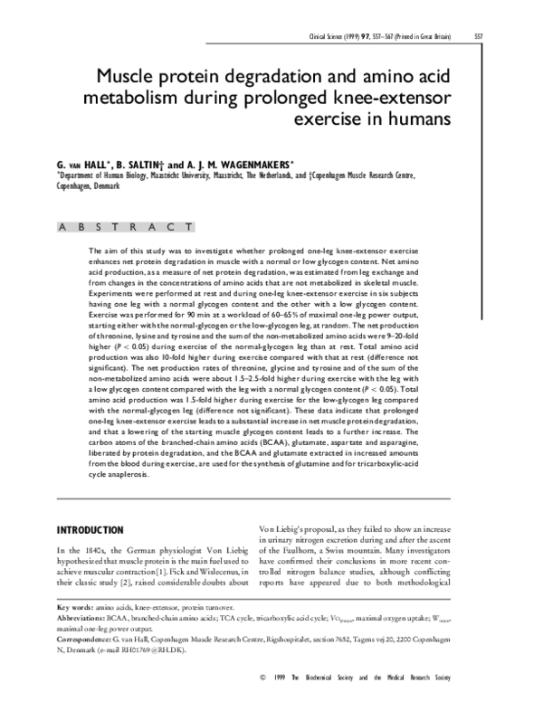 (PDF) Muscle protein degradation and amino acid metabolism during ...
