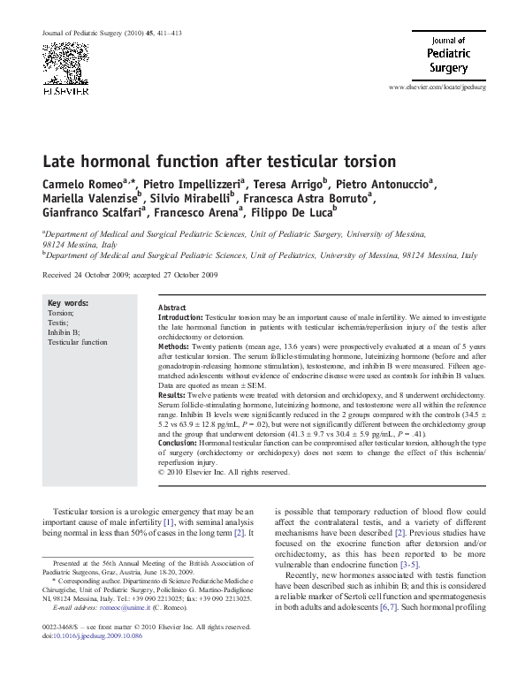 Testicular torsion essay 06 image